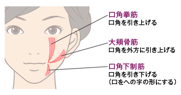 口角下がってるかも 東京院スタッフのブログ 東京の美容外科 美容整形の高須クリニック 東京院